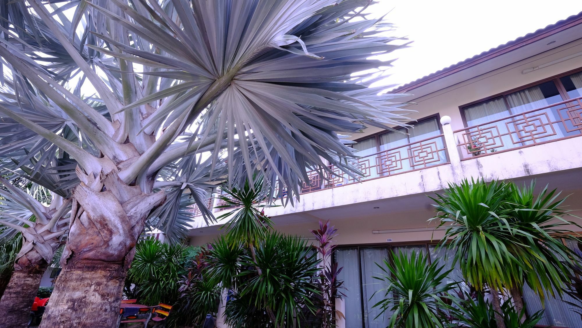 Samui Guest House Ламай Бийч Екстериор снимка